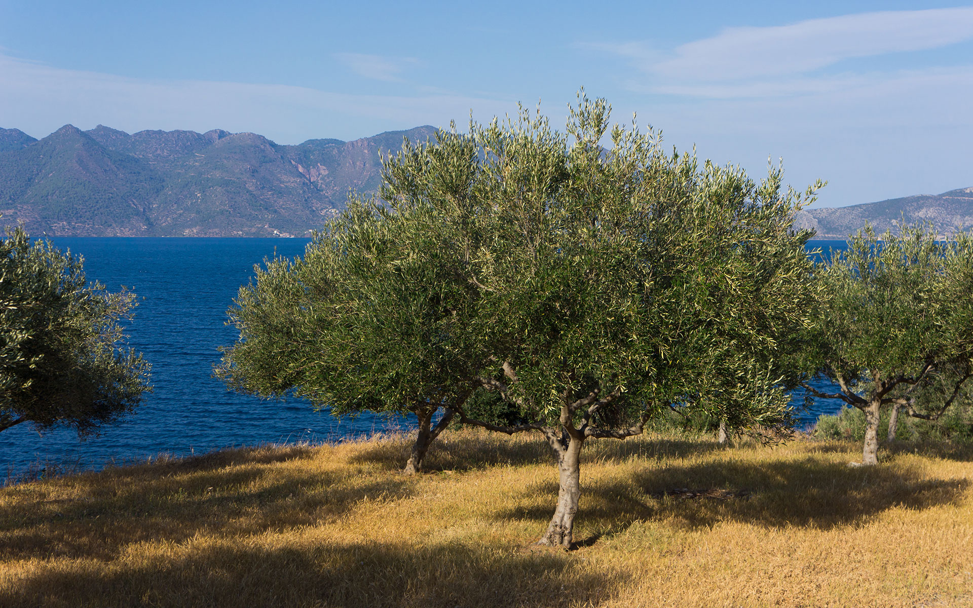 Oitylo and the surrounding landscape of Mani, Greece