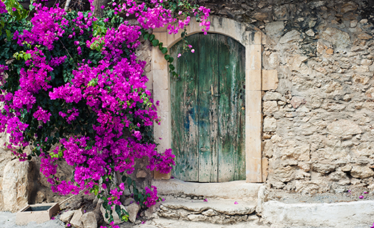Traditional stone doorway with bougainvillea in Mani